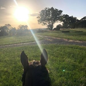 Meet your Posher, Ruby